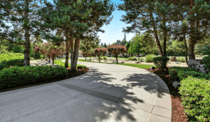 Concrete Driveway